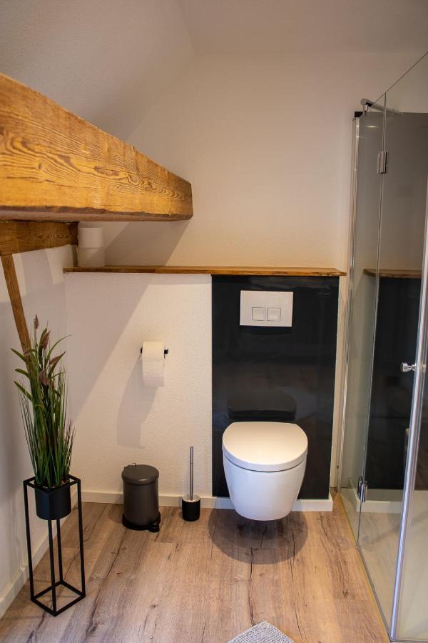 Apartment Im Alten Fronhof Balingen Ngoại thất bức ảnh